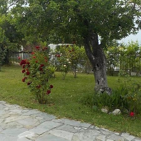 Katerina'S Holiday Home 克里皮吉 外观 照片